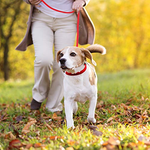 Cuerda de Correa Ajustable de Nylon de Plomo de Perro Correa de Entrenamiento de Mascotas Cuerda de Collar de antideslizantepara Caminar Entrenamiento Mascotas 1,5 m (Rojo)