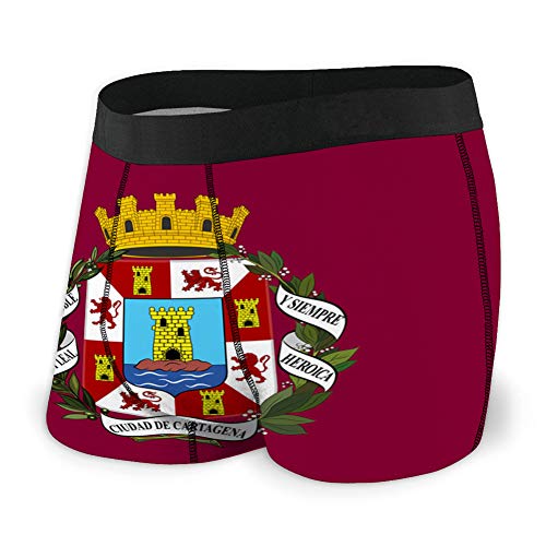 Custom Men 's Boxer Briefs Flag of Cartagena in Region of Murcia of Spain S