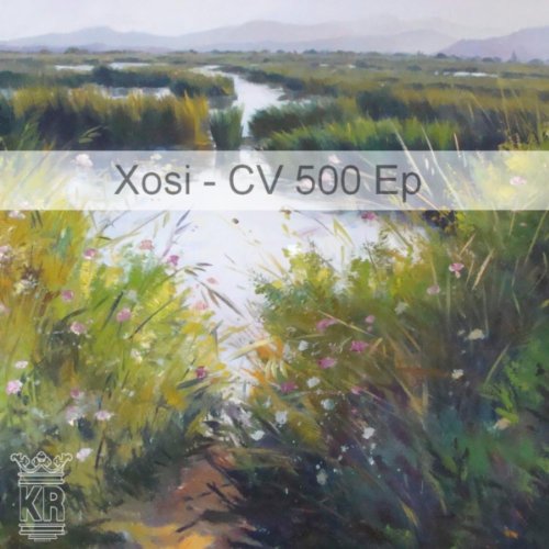CV 500 (Original Mix)