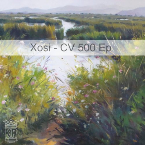 CV 500 (Original Mix) CV 500 (Original Mix)