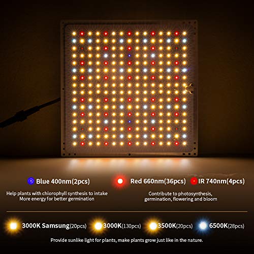 CXhome Lamparas Led Cultivo CX-1000 Full Spectrum Rojo & IR & Azul & 3000K Samsung LED & 6500K & 3500K True Full Driver Grow Light para Hidropónica Flores y Planta de Semillero Cultivo(240 Leds) CXhome Lamparas Led Cultivo CX-1000 Full Spectrum Rojo & IR & Azul & 3000K Samsung LED & 6500K & 3500K True Full Driver Grow Light para Hidropónica Flores y Planta de Semillero Cultivo(240 Leds)