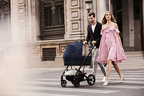 Cybex 518001145 - Gold Capazo S, desde el nacimiento hasta los 6 meses (9 kg), Manhattan Grey