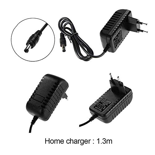 DAOXU Bomba de Aire Eléctrica DC12V/AC230V-Usado para Bolsas al Vacío, Colchón Hinchable, Juguetes Hinchable, Car, etc, Bomba de Aire con 3 Accesorios con Hinchar y Deshinchar, Viaje a Familia