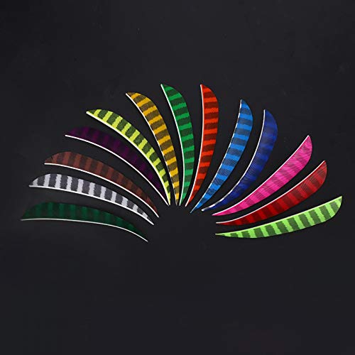 DAUERHAFT Accesorios de Flecha Material Pluma Accesorios de Caza duraderos 13 Piezas DAUERHAFT Accesorios de Flecha Material Pluma Accesorios de Caza duraderos 13 Piezas