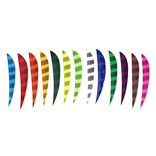DAUERHAFT Accesorios de Flecha Material Pluma Accesorios de Caza duraderos 13 Piezas DAUERHAFT Accesorios de Flecha Material Pluma Accesorios de Caza duraderos 13 Piezas