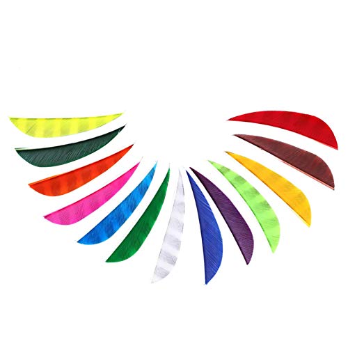 DAUERHAFT Accesorios de Flecha Material Pluma Accesorios de Caza duraderos 13 Piezas DAUERHAFT Accesorios de Flecha Material Pluma Accesorios de Caza duraderos 13 Piezas