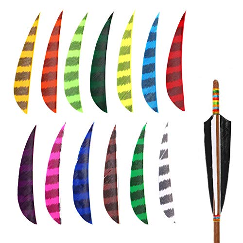 DAUERHAFT Accesorios de Flecha Material Pluma Accesorios de Caza duraderos 13 Piezas DAUERHAFT Accesorios de Flecha Material Pluma Accesorios de Caza duraderos 13 Piezas