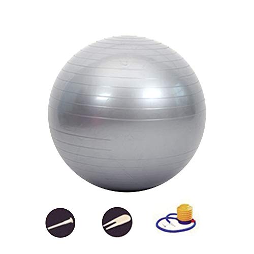 DAZISEN Accesorios para Pilates - Bola de Pilates de Yoga Ergonómica de PVC Impermeable a Prueba de Explosiones, Plata-4, 75CM