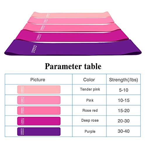 DeeCozy Bandas de Resistencia de 5 Piezas, Bandas de Bucle de Ejercicio de Resistencia de Resistencia Antideslizante Bandas de Bucle de Ejercicio de Resistencia amigable con la Piel
