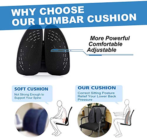 Delgeo Cojín Lumbar Soporte para la Espalda Lumbar ergonómico Cojín de Soporte Lumbar para Silla de Oficina Coche corrije la Postura Alivia el Dolor Lumbar(Negro) Delgeo Cojín Lumbar Soporte para la Espalda Lumbar ergonómico Cojín de Soporte Lumbar para Silla de Oficina Coche corrije la Postura Alivia el Dolor Lumbar(Negro)