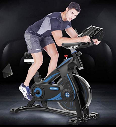 DFMD Bicicleta de Ejercicio Profesional para Interiores - Inicio Unisex Pérdida de Peso Abdominal Sports Bike 360 ​​° Protección de Seguridad Equipos de Gimnasia Pantalla multifunción Inteligente