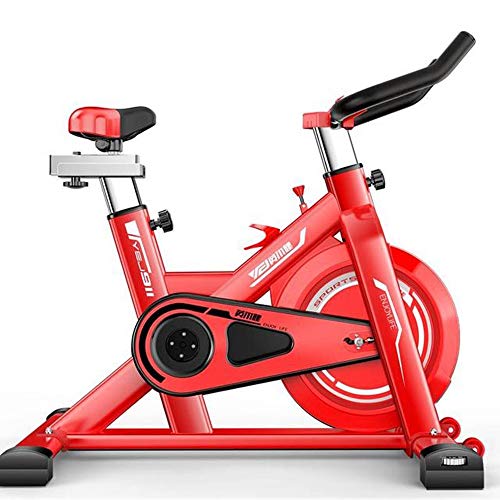 DFMD Professional Indoor Exercise Bike, Family Unisex Weight Loss Abdominal Sports Bike Red, Red
