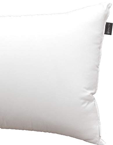 DHestia Hostelería - Almohada Núcleo de Fibra Hueca Siliconada y Funda de 100% Microfibra (70 cm) DHestia Hostelería - Almohada Núcleo de Fibra Hueca Siliconada y Funda de 100% Microfibra (70 cm)