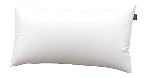 DHestia Hostelería - Almohada Núcleo de Fibra Hueca Siliconada y Funda de 100% Microfibra (70 cm) DHestia Hostelería - Almohada Núcleo de Fibra Hueca Siliconada y Funda de 100% Microfibra (70 cm)
