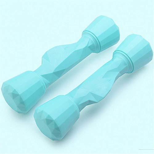 DHTOMC Juego de 2 Mancuernas Señoras Aerobic Mancuernas Ajustables Yoga Peso Mancuernas Fitness Equipment Multicolor Opcional Pesas para Gimnasio en Casa (Color : Green, Size : Free Size) DHTOMC Juego de 2 Mancuernas Señoras Aerobic Mancuernas Ajustables Yoga Peso Mancuernas Fitness Equipment Multicolor Opcional Pesas para Gimnasio en Casa (Color : Green, Size : Free Size)