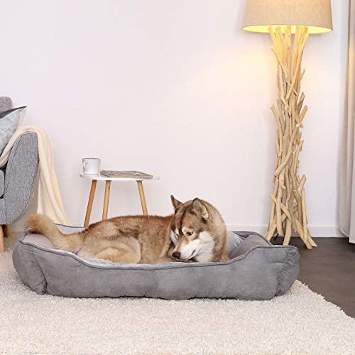 Dibea Cama Perros 2 en 1 cojín Perros sofá Perros (L) 110 x 80 cm Gris Dibea Cama Perros 2 en 1 cojín Perros sofá Perros (L) 110 x 80 cm Gris