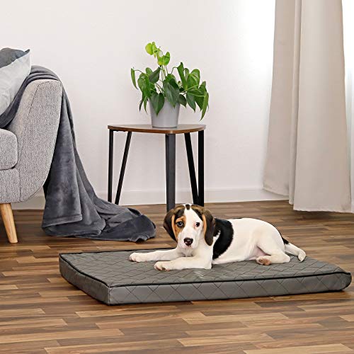 Dibea DB0078, Colchoneta Ortopédica para Perros, con Memory Foam (80 x 55 cm)