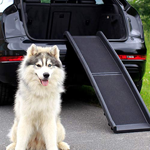 dibea DR00890 - Rampa Plegable de Plástico para Perros y su Coche, Ligero y Estable, con Recubrimiento Antideslizante, 156 x 40 cm dibea DR00890 - Rampa Plegable de Plástico para Perros y su Coche, Ligero y Estable, con Recubrimiento Antideslizante, 156 x 40 cm