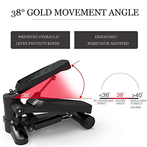 DODOBD Máquina de Step Swing Stepper, Mini Stepper, Aparato de Entrenamiento Stepper con Resistencia Regulable y Consola inalámbrica, para Usuarios Principiantes y Avanzados DODOBD Máquina de Step Swing Stepper, Mini Stepper, Aparato de Entrenamiento Stepper con Resistencia Regulable y Consola inalámbrica, para Usuarios Principiantes y Avanzados