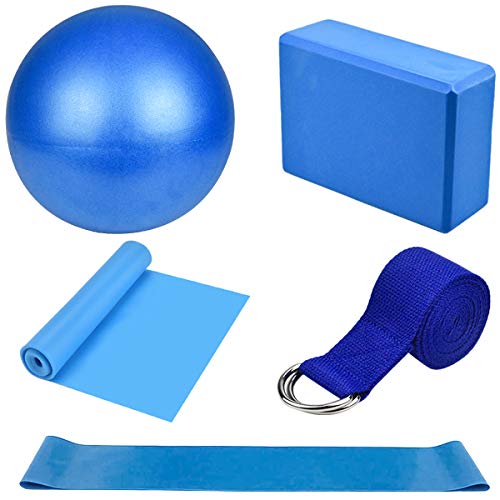 Dokpav Kit de Accesorios para Pilates Set de 5 Bandas Elásticas Fitness,Goma elasticas Musculacion,Bloque de Yoga,Pequeña Pelota de Pilates,Bandas de Resistencia para Yoga,Pilates,Fitness (Azul) Dokpav Kit de Accesorios para Pilates Set de 5 Bandas Elásticas Fitness,Goma elasticas Musculacion,Bloque de Yoga,Pequeña Pelota de Pilates,Bandas de Resistencia para Yoga,Pilates,Fitness (Azul)