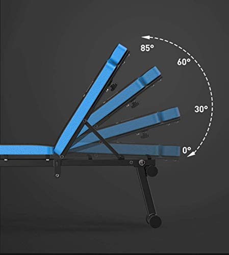 DSHUJC Banco de Pesas para Curl de Brazos Banco de Pesas Ajustable Sentado, Equipo de Ejercicios para Abdominales, Banco de Pesas multifunción Silla de Ejercicios para