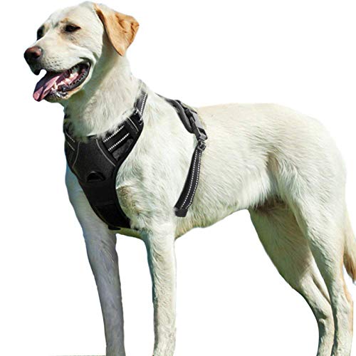 Eagloo Arnes de Perro Antitirones Cómodo Chaleco Ajustable Correa al Cuello y Pecho para Perros Labrador Material Duradero Transpirable con Cinta Reflectante Adaptarse a Ejercer Externo XL/Negro Eagloo Arnes de Perro Antitirones Cómodo Chaleco Ajustable Correa al Cuello y Pecho para Perros Labrador Material Duradero Transpirable con Cinta Reflectante Adaptarse a Ejercer Externo XL/Negro