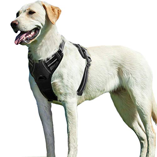 Eagloo Arnes de Perro Antitirones Cómodo Chaleco Ajustable Correa al Cuello y Pecho para Perros Labrador Material Duradero Transpirable con Cinta Reflectante Adaptarse a Ejercer Externo XL/Negro