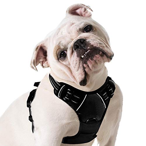 Eagloo Arnes Perro Mediano Grande, Arnes Antitirones Perro, Chaleco Acolchado Ajustable, Correa al Cuello y Pecho Duradero y Transpirable con Cinta Reflectante, para Ejercer Correr Coche, M/Negro Eagloo Arnes Perro Mediano Grande, Arnes Antitirones Perro, Chaleco Acolchado Ajustable, Correa al Cuello y Pecho Duradero y Transpirable con Cinta Reflectante, para Ejercer Correr Coche, M/Negro