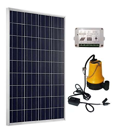 ECO-WORTHY Kit de Bomba Solar: Panel Solar de 100W + Bomba de Agua Solar + regulador Solar de 15A