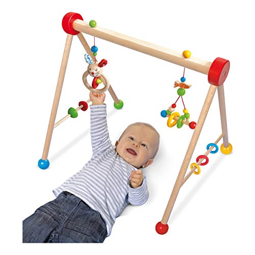 Eichhorn-Gym-100017034 Gimnasio para bebé, diseño: Conejo, con función de Juego y Agarre, 45 x 51 cm, FSC 100% Madera de Haya, Felpa, BSK, 3 m + Fabricado en Alemania, Multicolor (100017034) Eichhorn-Gym-100017034 Gimnasio para bebé, diseño: Conejo, con función de Juego y Agarre, 45 x 51 cm, FSC 100% Madera de Haya, Felpa, BSK, 3 m + Fabricado en Alemania, Multicolor (100017034)