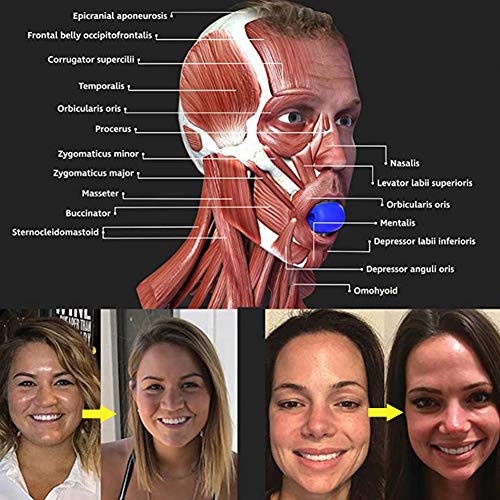 Ejercitador de mandíbula Tóner Facial Tonificador Facial Ejercitador Equipo Tonificador De Cuello Herramienta De Belleza Facial Ejercicio de la Línea de la Mandíbula (Azul)