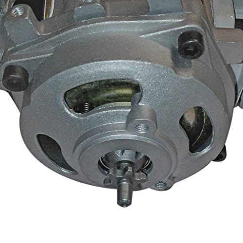 elegantstunning 49 cc 2 tiempos Pull Motor Engine Mini Pocket Pit Quad Dirt Bike ATV 4 ruedas Accesorio elegantstunning 49 cc 2 tiempos Pull Motor Engine Mini Pocket Pit Quad Dirt Bike ATV 4 ruedas Accesorio