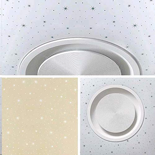 ELINKUME Lámpara de Techo Regulable Cambio de Color LED Lámpara con Altavoz Bluetooth y Mando a Distancia 36W Estrellado (APP + Mando a Distancia)