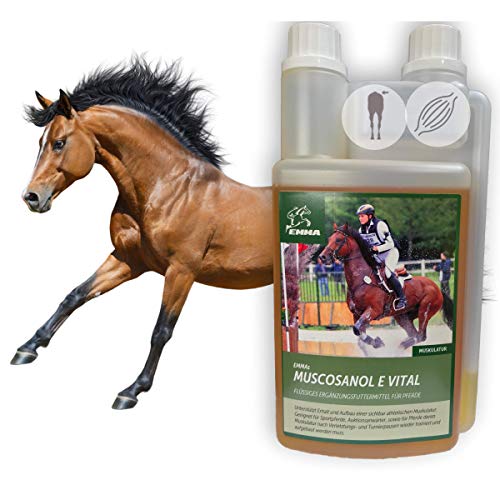 EMMA Aceite de Germen de arroz para Caballos la alimentación de los Caballos favorece el Desarrollo Muscular I Gamma-orizanol + Vitamina E para el Rendimiento y la Musculatura 1 L EMMA Aceite de Germen de arroz para Caballos la alimentación de los Caballos favorece el Desarrollo Muscular I Gamma-orizanol + Vitamina E para el Rendimiento y la Musculatura 1 L