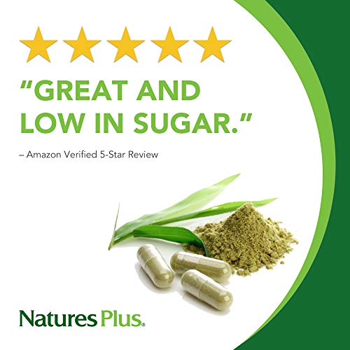 Energy Shake - The Original High Protein (756 grams) - Nature's Plus Energy Shake - The Original High Protein (756 grams) - Nature's Plus
