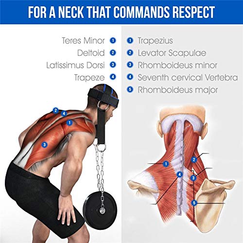 Envisioni Cinturón de Entrenamiento para el Cuello, Cinturón Ajustable para Entrenamiento de la Cabeza, Accesorios para Ejercicios con Anillos en D para culturistas y Otros Atletas Envisioni Cinturón de Entrenamiento para el Cuello, Cinturón Ajustable para Entrenamiento de la Cabeza, Accesorios para Ejercicios con Anillos en D para culturistas y Otros Atletas