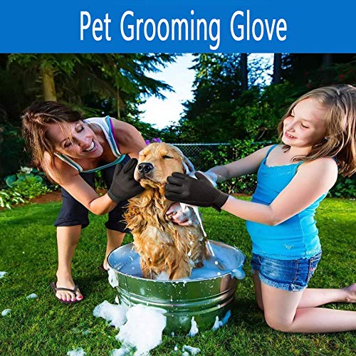 ETHEL Guante de Mascotas, Guantes Manopla Masaje, Guante de Mascotas Quita Pelos, para Perros y Gatos con Pulseras de Velcro Ajustables para un Mejor Ajuste (Azul) ETHEL Guante de Mascotas, Guantes Manopla Masaje, Guante de Mascotas Quita Pelos, para Perros y Gatos con Pulseras de Velcro Ajustables para un Mejor Ajuste (Azul)