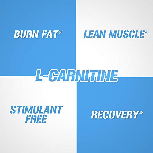 Evlution Nutrition L-Carnitine500 500 mg de Pura L Carnitina en Cada Porción (120 Porciones, Cápsulas) Evlution Nutrition L-Carnitine500 500 mg de Pura L Carnitina en Cada Porción (120 Porciones, Cápsulas)