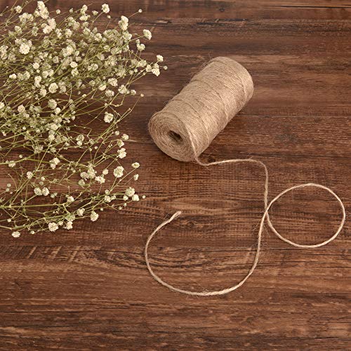 ewtshop® 100 minipinzas de madera + 100 metros de cuerda de yute, pinzas de la ropa, mini pinzas de madera, pinzas decorativas, tamaño: 2,5 cm aprox.