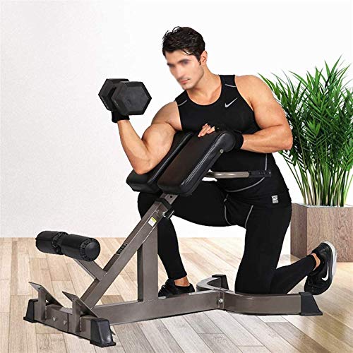 FACAIA Silla Romana, Banco de hiperextensión de Respaldo Multifuncional, para Fortalecer los Abdominales, Equipo de Entrenamiento de Entrenamiento de Fuerza, Silla de Ejercicios Ajustable