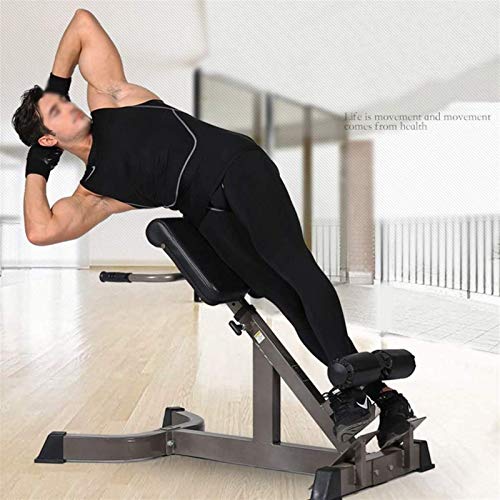 FACAIA Silla Romana, Banco de hiperextensión de Respaldo Multifuncional, para Fortalecer los Abdominales, Equipo de Entrenamiento de Entrenamiento de Fuerza, Silla de Ejercicios Ajustable