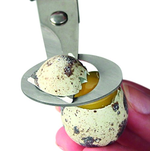 Fackelmann Tijera Abrir Huevos codorniz, Acero Inoxidable, Verde Fackelmann Tijera Abrir Huevos codorniz, Acero Inoxidable, Verde