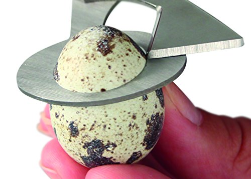 Fackelmann Tijera Abrir Huevos codorniz, Acero Inoxidable, Verde Fackelmann Tijera Abrir Huevos codorniz, Acero Inoxidable, Verde