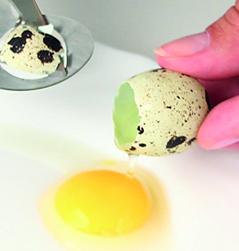 Fackelmann Tijera Abrir Huevos codorniz, Acero Inoxidable, Verde Fackelmann Tijera Abrir Huevos codorniz, Acero Inoxidable, Verde