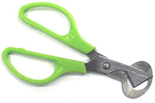 Fackelmann Tijera Abrir Huevos codorniz, Acero Inoxidable, Verde Fackelmann Tijera Abrir Huevos codorniz, Acero Inoxidable, Verde