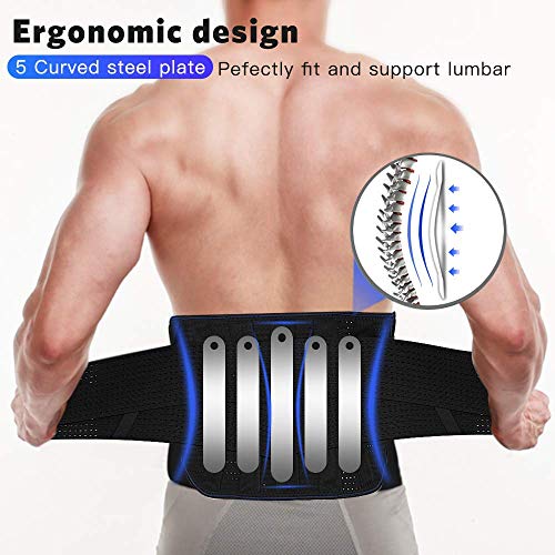 Faja Lumbar para Espalda, AGPTEK Cinturón de Soporte Lumbar Ayuda a Aliviar Dolor y Lesiones, Ciática, Hernia de Disco etc, Faja Lumbar Deportiva para Hombre y Mujer, Negro(Talla L) Faja Lumbar para Espalda, AGPTEK Cinturón de Soporte Lumbar Ayuda a Aliviar Dolor y Lesiones, Ciática, Hernia de Disco etc, Faja Lumbar Deportiva para Hombre y Mujer, Negro(Talla L)