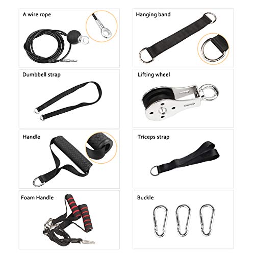 FBSPORT 11 PCS Poleas Gimnasio Rodillo de muñeca para el antebrazo para gimnasios en el hogar Ejercitador de Entrenamiento de Fuerza con Sistema de polea Slinet de Alta Resistencia FBSPORT 11 PCS Poleas Gimnasio Rodillo de muñeca para el antebrazo para gimnasios en el hogar Ejercitador de Entrenamiento de Fuerza con Sistema de polea Slinet de Alta Resistencia