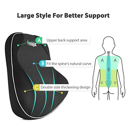 Feagar Almohada Lumbar, Cojín de Espuma Viscoelástica, Soporte Lumbar para Silla de Oficina, Asiento de Auto, Cojín para Silla de Ruedas, Respaldo Lumbar Coche, Reduce el Dolor y Alivia la Fatiga