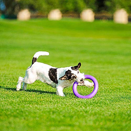 Ferplast Puller - Juego de anillo interactivo para educación de entretenimiento y adiestramiento para perros (diámetro de 19 cm – mediano)