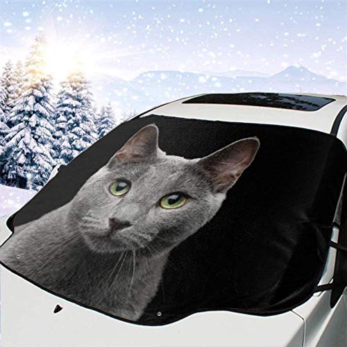 FETEAM Visera de sombrilla automática para Parabrisas Delantero Impermeable Retrato Primer Plano Gato Azul Ruso Impresionante Protector protección